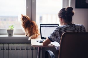 A woman at home working on her laptop by the window; in front of her, an orange cat is sitting on the windowsill.