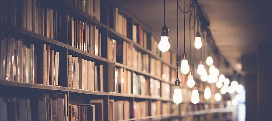 Photograph of library shelves full of books with ceiling lights to illuminate them